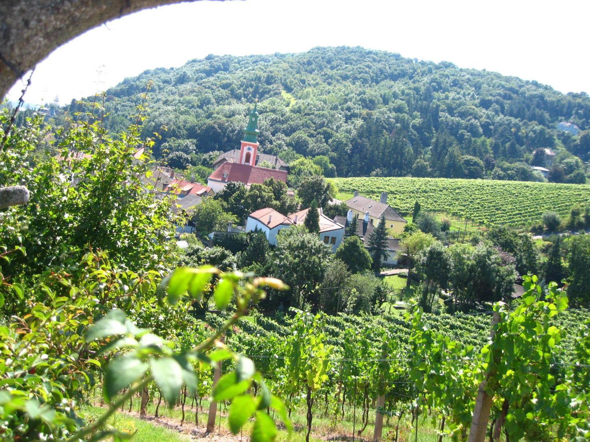 Vienna Cottage ภายนอก รูปภาพ
